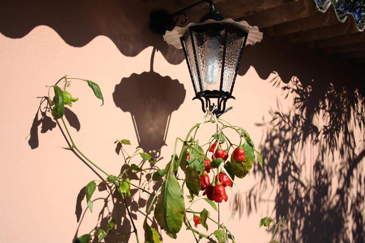 Villa La Casa Di Sara à Pula Extérieur photo